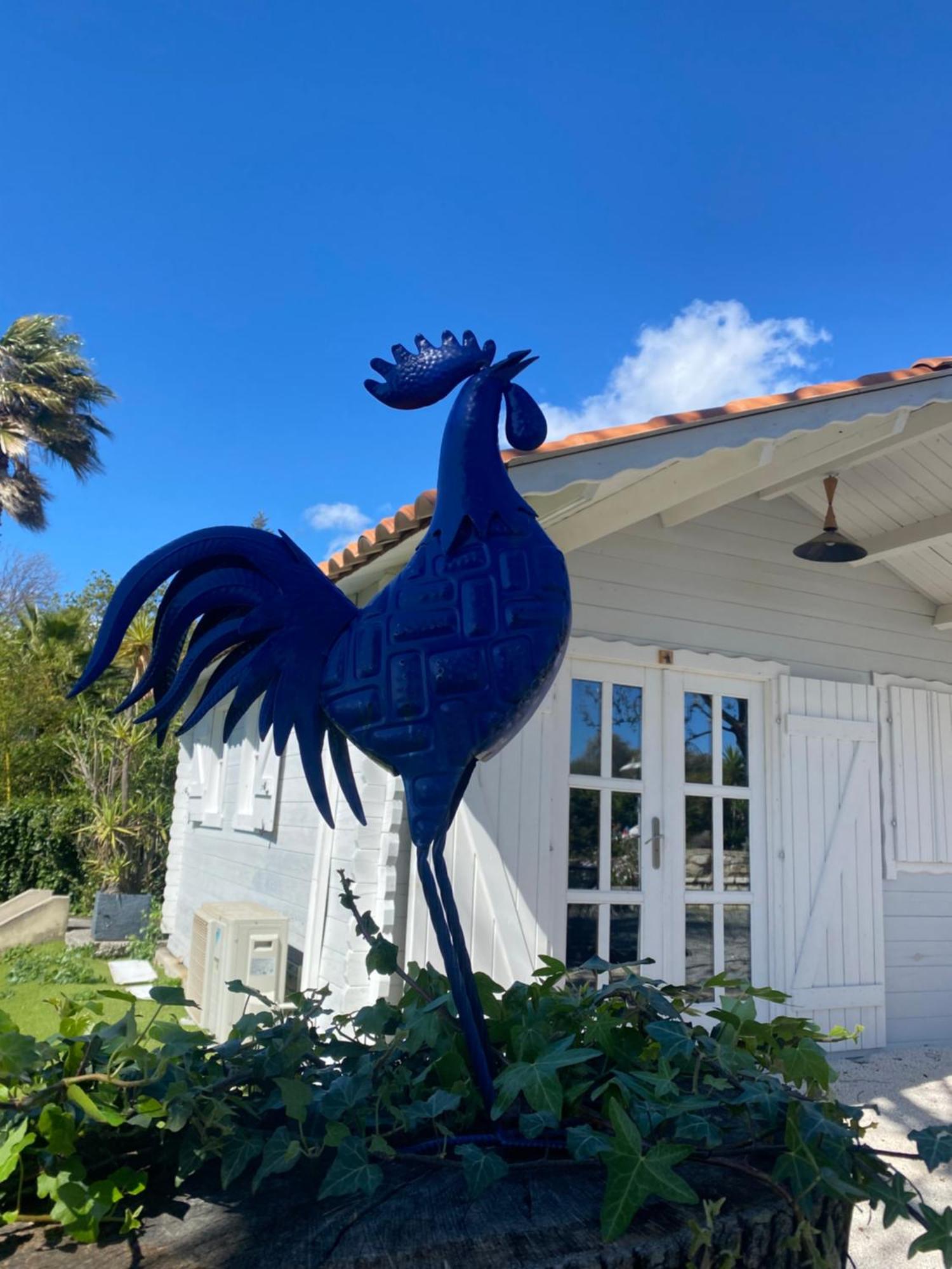 Maison Saint Paul Bnb La Colle-sur-Loup Exteriör bild