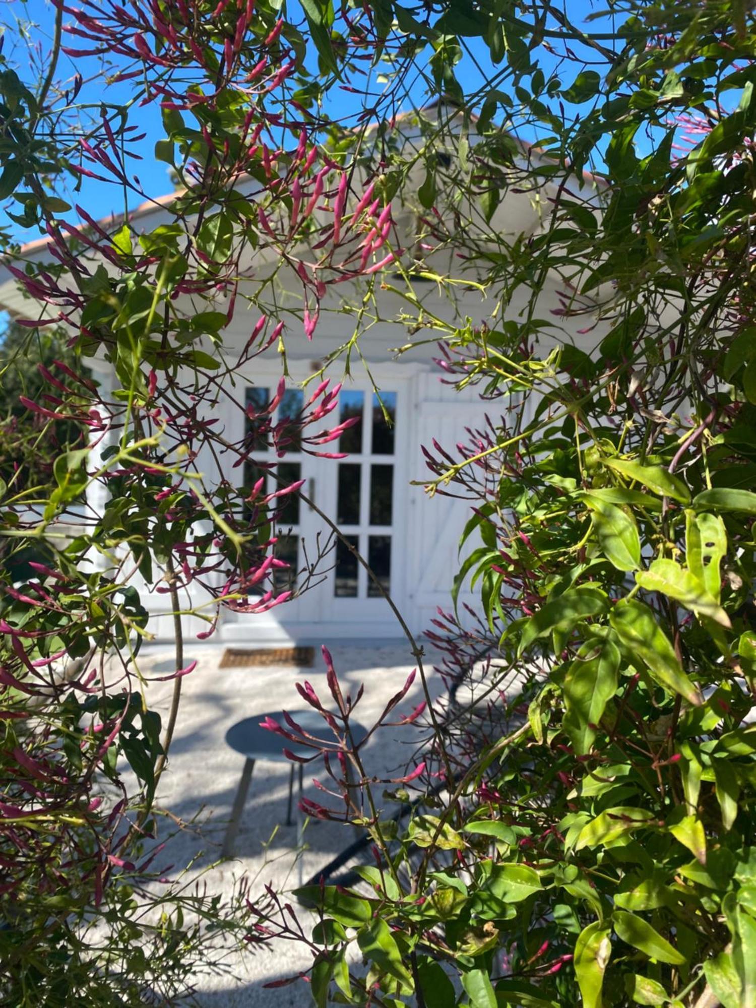 Maison Saint Paul Bnb La Colle-sur-Loup Exteriör bild